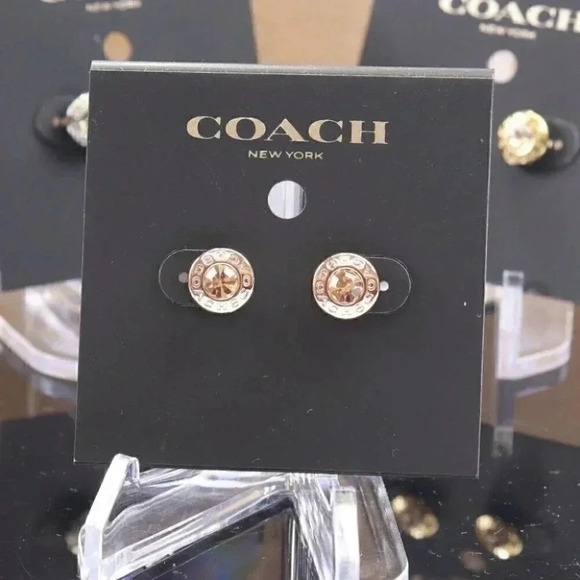 OPEN CIRCLE STONE STRAND EARRINGS (COACH F54516) - Picture 1 of 6